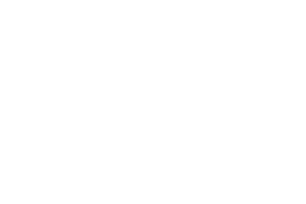 Elevate Chiropractic and Wellness